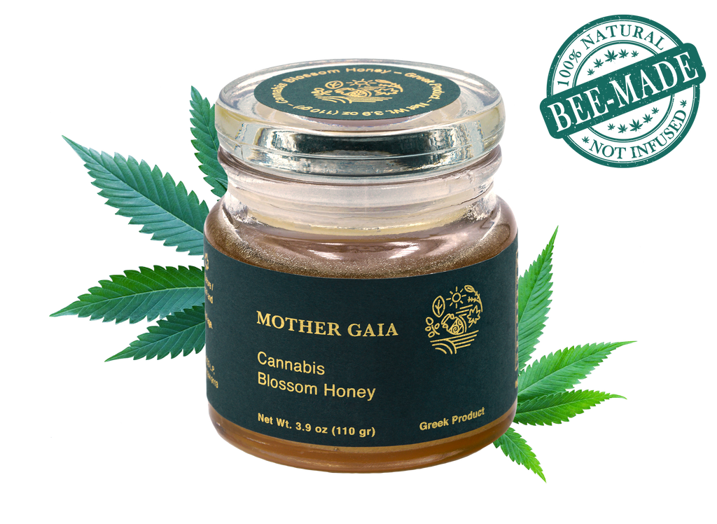 Μέλι Κάνναβης - Cannabis Blossom Honey